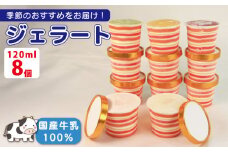 ジェラート  詰め合わせ 120ml 選べる 個数 8個 冷凍 フルーツ ギフト プレゼント 贈答 お取り寄せ グルメ 季節限定 冷凍 徳島県 吉野川市 株式会社マイスター社