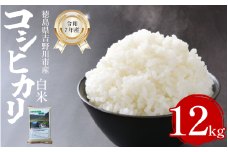 【先行予約】令和7年産 米 白米 選べる 容量 12kg （2kg × 6袋 ）コシヒカリ 令和7年度産 お米 こめ 棚田米 白米 精米 ごはん ご飯 白飯 ゴハン  小分け 便利  徳島県 吉野川市