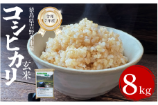 【先行予約】令和7年産 米 玄米 選べる 容量 8kg （2㎏×4袋） コシヒカリ 令和7年度産 玄米 1袋2kg 小分け 便利 お米 こめ 棚田米 白米 精米 ごはん ご飯 白飯 ゴハン 徳島県 吉野川市