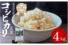 【先行予約】令和7年産 米 玄米 選べる 容量 4kg （2㎏×2袋） コシヒカリ 令和7年度産 玄米 1袋2kg 小分け 便利 お米 こめ 棚田米 白米 精米 ごはん ご飯 白飯 ゴハン 徳島県 吉野川市
