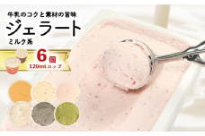 ジェラート 詰め合わせ 120ml 選べる 個数 6個 ミルク系のみ  冷凍 フルーツ ギフト プレゼント 贈答 お取り寄せ グルメ 季節限定 冷凍 徳島県 吉野川市 株式会社マイスター社