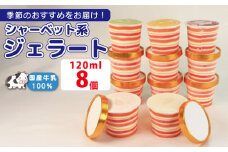 ジェラート  詰め合わせ 120ml 選べる 個数 8個  シャーベット系 のみ  冷凍 フルーツ ギフト プレゼント 贈答 お取り寄せ グルメ 季節限定 冷凍 徳島県 吉野川市 株式会社マイスター社