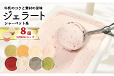 ジェラート  詰め合わせ 120ml 選べる 個数 8個  シャーベット系 のみ  冷凍 フルーツ ギフト プレゼント 贈答 お取り寄せ グルメ 季節限定 冷凍 徳島県 吉野川市 株式会社マイスター社