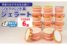 ジェラート 詰め合わせ 120ml 選べる 個数 6個  シャーベット系 のみ  冷凍 フルーツ ギフト プレゼント 贈答 お取り寄せ グルメ 季節限定 冷凍 徳島県 吉野川市 株式会社マイスター社