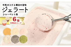ジェラート 詰め合わせ 120ml 選べる 個数 6個  シャーベット系 のみ  冷凍 フルーツ ギフト プレゼント 贈答 お取り寄せ グルメ 季節限定 冷凍 徳島県 吉野川市 株式会社マイスター社