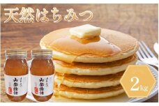 はちみつ 2kg 1kg×2 国産 蜂蜜 ギフト プレゼント 個包装 無添加 無農薬 健康食品 山都物語 おすすめ