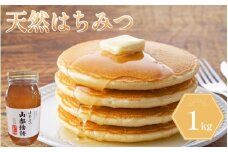 はちみつ 1kg 1瓶 国産 蜂蜜 ギフト プレゼント 個包装 無添加 無農薬 健康食品 山都物語 おすすめ