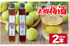 梅酒 飲み比べ 2本セット 美郷露茜 美郷鶯宿  500ml 各1本 梅 ブレンド 梅酒 うめ 果物 フルーツ うめしゅ お酒 酒  果実酒 さけ ビール ハイボール チューハイ 焼酎 日本酒 ウイスキー ワイン ギフト 贈答 プレゼント 送料無料 徳島県 吉野川市
