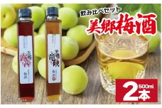 梅酒 飲み比べ 2本セット 美郷露茜 美郷竜峡  500ml 各1本 梅 ブレンド 梅酒 うめ 果物 フルーツ うめしゅ お酒 酒  果実酒 さけ ビール ハイボール チューハイ 焼酎 日本酒 ウイスキー ワイン ギフト 贈答 プレゼント 送料無料 徳島県 吉野川市