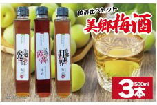 梅酒 飲み比べ 3本セット 美郷露茜 美郷鶯宿 美郷月世界  500ml 各1本 梅 ブレンド 梅酒 うめ 果物 フルーツ うめしゅ お酒 酒  果実酒 さけ ビール ハイボール チューハイ 焼酎 日本酒 ウイスキー ワイン ギフト 贈答 プレゼント 送料無料 徳島県 吉野川市
