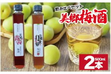 梅酒 飲み比べ 2本セット 美郷露茜 美郷月世界  500ml 各1本 梅 ブレンド 梅酒 うめ 果物 フルーツ うめしゅ お酒 酒  果実酒 さけ ビール ハイボール チューハイ 焼酎 日本酒 ウイスキー ワイン ギフト 贈答 プレゼント 送料無料 徳島県 吉野川市