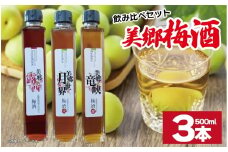 梅酒 飲み比べ 3本セット 美郷露茜 美郷月世界 美郷竜峡  500ml 各1本 梅 ブレンド 梅酒 うめ 果物 フルーツ うめしゅ お酒 酒  果実酒 さけ ビール ハイボール チューハイ 焼酎 日本酒 ウイスキー ワイン ギフト 贈答 プレゼント 送料無料 徳島県 吉野川市
