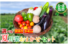 訳あり 野菜 夏野菜 セット 6～8品目 3人～4人用 詰め合わせ 茄子 きゅうり ピーマン トマト ミニトマト 白茄子 オクラ 大葉 枝豆 ズッキーニ ししとう とうもろこし パプリカ じゃがいも たまねぎ にんじん サラダ カレー 野菜炒め 森商店 徳島県 吉野川市