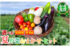 野菜 夏野菜 セット 6～8品目 3人～4人用 定期便 年4回 詰め合わせ 茄子 きゅうり ピーマン トマト ミニトマト 白茄子 オクラ 大葉 枝豆 ズッキーニ ししとう とうもろこし パプリカ じゃがいも たまねぎ にんじん サラダ カレー 野菜炒め 森商店 徳島県 吉野川市