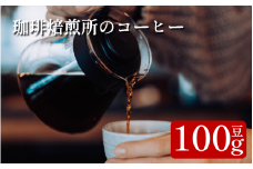 コーヒー 豆 100g スペシャリティコーヒー 珈琲 ブレンド 簡単 手軽 自家焙煎 個包装 ギフト プレゼント  香り 高級 人気 おしゃれ 本格 自宅用 旅行用 職場用 お試しセット コーヒー豆 ドリップコーヒー ハンドドリップ マイルド 苦味 コク すっきり 後味 徳島県 吉野川市