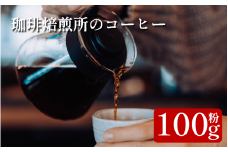 コーヒー 粉 100g スペシャリティコーヒー 珈琲 ブレンド 簡単 手軽 自家焙煎 個包装 ギフト プレゼント  香り 高級 人気 おしゃれ 本格 自宅用 旅行用 職場用 お試しセット コーヒー豆 ドリップコーヒー ハンドドリップ マイルド 苦味 コク すっきり 後味 徳島県 吉野川市
