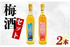 梅酒 セット 純情梅酒 ほたるの宿 飲み比べ 500ml 計2本 梅 うめ 3年 熟成 月世界 果物 フルーツ うめしゅ お酒 酒  果実酒 さけ ビール ハイボール チューハイ 焼酎 日本酒 ウイスキー ワイン ギフト 贈答 プレゼント 送料無料 徳島県 吉野川市