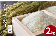 【先行予約】令和7年産 米 白米 2kg （ 2kg × 1袋 ） アキサカリ 令和7年度産 新米 1袋2kg 小分け お米 こめ 白米 精米 ごはん ご飯 白飯 ゴハン コメ 吉野川 徳島県 吉野川市