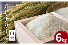 【先行予約】令和7年産 米 白米 6kg （ 2kg × 3袋 ） アキサカリ 令和7年度産 新米 1袋2kg 小分け お米 こめ 白米 精米 ごはん ご飯 白飯 ゴハン コメ 吉野川 徳島県 吉野川市