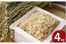 【先行予約】令和7年産 米 玄米 4kg （ 2kg × 2袋 ）アキサカリ 令和7年度産 新米 1袋2kg 小分け お米 こめ 精米 健康 ごはん ご飯 白飯 ゴハン コメ 吉野川 徳島県 吉野川市