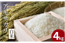 【先行予約】令和7年産 米 白米 4kg （ 2kg × 2袋 ）アキサカリ 令和7年度産 新米 1袋2kg 小分け お米 こめ 白米 精米 ごはん ご飯 白飯 ゴハン コメ 吉野川 徳島県 吉野川市