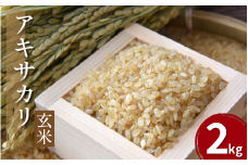 【先行予約】令和7年産 米 玄米 2kg （ 2kg × 1袋 ） アキサカリ 令和7年度産 新米 1袋2kg 小分け お米 精米 健康 こめ ごはん ご飯 白飯 ゴハン コメ 吉野川 徳島県 吉野川市
