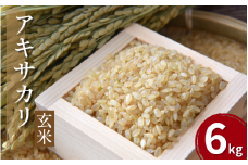【先行予約】令和7年産 米 玄米 6kg （ 2kg × 3袋 ）アキサカリ 令和7年度産 新米 1袋2kg 小分け お米 こめ 精米 健康 ごはん ご飯 白飯 ゴハン コメ 吉野川 徳島県 吉野川市