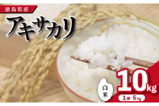 【先行予約】令和7年産 米 白米 10kg （ 5kg × 2袋 ） アキサカリ 令和7年度産 1袋5kg 小分け  お米 こめ コメ 白米 精米 ごはん ご飯 白飯 ゴハン あきさかり おにぎり お弁当 徳島県 吉野川市