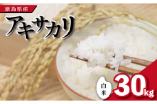 【先行予約】令和7年産 米 白米 30kg アキサカリ 令和7年度産 お米 こめ コメ 白米 精米 ごはん ご飯 白飯 ゴハン あきさかり おにぎり お弁当 徳島県 吉野川市