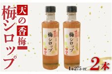天野農園の梅シロップ 275cc 2本 セット 国産 美郷 梅 シロップ うめ ウメ 無添加 焼酎 炭酸 飲料 ドリンク ジュース 瓶 常温 プレゼント ギフト 贈答 送料無料 徳島県 吉野川市 