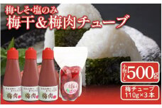 先行予約 梅干 昔ながらの しそ漬け 小梅干し 500g 1袋 梅肉チューブ 110g 3本 詰め合わせ 小梅干 梅肉 《 2025年11月から順次発送予定》 吉野川市 美郷産 梅 うめぼし 便利 安心 手作り 天日干し 梅干 おにぎり 料理 ご飯のお供 常温 ギフト 贈答 送料無料 徳島県 吉野川市 美郷梅工房