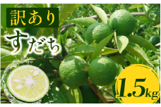 訳あり すだち 1.5kg 家庭用 2025年9月上旬～9月中旬 順次発送 栽培期間中農薬不使用 スダチ 旬 果実 果汁 みかん 柑橘 フルーツ 酸味 すっぱい 徳島 人気 オススメ お取り寄せ グルメ ハイボール 焼酎 ビール からあげ さんま 刺身 魚 天ぷら 送料無料 徳島県 吉野川市