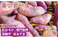 さつまいも 約 3kg おまかせ 紅はるか 鳴門金時 紅あずま 安納芋 2025年11月中旬～発送予定 生芋 サツマイモ さつま芋 焼き芋 やきいも 干し芋 芋 イモ 野菜 おやつ デザート 秋 旬 徳島県 吉野川市