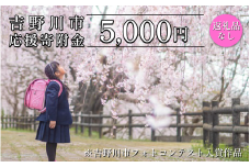【 返礼品なし 5,000円  】 徳島県 吉野川市 への 寄附 応援寄附金