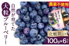 ＜ 先行予約 ＞ 美馬の大粒ブルーベリー（100g×6パック） 《2025年6月上旬‐8月末出荷》ブルーベリージャム ブルーベリーソース ブルーベリー ベリー ふるさと納税 ブルーベリー 果物 フルーツ 青果物 美馬市ブルーベリー研究会 徳島県 美馬市