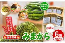 薬味 みまから お試しセット 《30日以内に出荷予定(土日祝除く)》工房ロマン 徳島県 美馬市 みまから 特産品 美馬市産 青唐辛子 唐辛子 冷奴 ラーメン お鍋