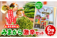 薬味 みまから 激辛セット 《30日以内に出荷予定(土日祝除く)》工房ロマン 徳島県 美馬市 みまから 特産品 美馬市産 青唐辛子 唐辛子 冷奴 ラーメン お鍋 薬味みまから うまからみそ ちりめんみそ 焼肉たれ激辛