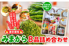 薬味 みまから 8本詰め合わせ 《30日以内に出荷予定(土日祝除く)》工房ロマン 徳島県 美馬市 みまから 特産品 美馬市産 青唐辛子 唐辛子 冷奴 ラーメン お鍋 薬味みまから ちりめんみそ うまからみそ 焼肉たれ激辛 ゆずみそ 田楽みそ