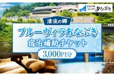ブルーヴィラあなぶき 宿泊補助チケット 3000円分《30日以内に出荷予定(土日祝除く)》 清流の郷ブルーヴィラあなぶき 徳島県 美馬市 宿泊 旅行 チケット 宿泊券 利用券 補助券 3000円 ホテル 送料無料