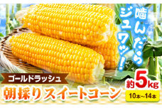 朝採りスイートコーン(ゴールドラッシュ) 約5kg 10本～14本入り アグリサポート美馬《6月上旬‐6月末頃出荷》徳島県 美馬市 とうもろこし スイートコーントウモロコシ コーン ゴールドラッシュ 野菜 青果物 送料無料 st-p