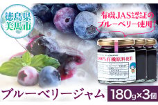 無添加 手作り ブルーベリージャム（180g×3個） 《30日以内に出荷予定(土日祝除く)》ベリーベリーファームわきまち 徳島県 美馬市 ブルーベリー ジャム 果物 フルーツ 青果物 st-p