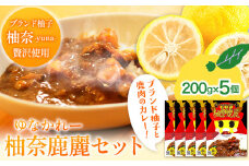 木屋平特産ゆず「柚奈」使用 柚奈鹿麗 200g×5個 セット《30日以内に出荷予定(土日祝除く)》株式会社Surfrider(松家農園) 徳島県 美馬市 ゆず カレー ジビエ ジビエカレー 鹿肉 鹿 送料無料 st-p