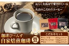 自家焙煎 珈琲豆 コーヒー こだわりセット 計3袋 《30日以内に出荷予定(土日祝除く)》珈琲び～んず 送料無料 焙煎 ブレンド豆 モカ キリマンジャロ コーヒー豆 徳島県 美馬市