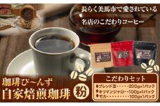 自家焙煎 珈琲豆 コーヒー こだわりセット粉 計3袋 《30日以内に出荷予定(土日祝除く)》 珈琲び～んず 送料無料 焙煎 ブレンド豆 モカ キリマンジャロ コーヒー豆 徳島県 美馬市