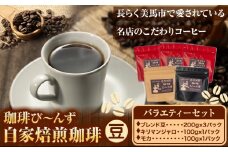 自家焙煎 珈琲豆 コーヒー バラエティーセット 豆 計5袋 《30日以内に出荷予定(土日祝除く)》珈琲び～んず 送料無料 焙煎 ブレンド豆 モカ キリマンジャロ コーヒー豆 徳島県 美馬市