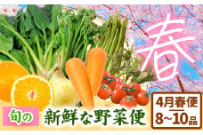 ＜先行予約＞旬の新鮮な 野菜便 4月春便 8～10品 アグリサポート美馬《2026年4月上旬-4月末頃出荷》春野菜 ふき わらび うど こしあぶら(山の山菜) 新玉ネギ ほうれん草 ミニトマト 人参 八朔 野菜 青果物 送料無料 徳島県 美馬市