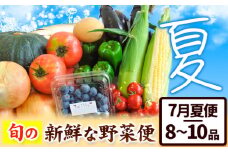 ＜先行予約＞ 旬の新鮮な 野菜便 7月夏便 8～10品 アグリサポート美馬《7月上旬-7月末頃出荷》とうもろこし 夏野菜 じゃがいも きゅうり ブルーベリー キャベツ 茄子 玉ねぎ 豆  野菜 青果物 送料無料 徳島県 美馬市