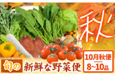 ＜ 先行予約 ＞ 旬の新鮮な 野菜便 10月秋便 8～10品 アグリサポート美馬《10月上旬-10月末頃出荷》秋野菜 大根 かぼちゃ すだち さつまいも ブロッコリー 次郎柿 ほうれん草 ミニトマト 野菜 青果物 送料無料 徳島県 美馬市