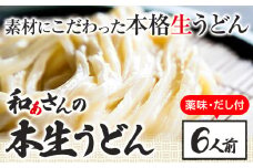 おうどんセット ６人前 《90日以内に出荷予定(土日祝除く)》和ぁさん家、株式会社栄工製作所 うどん 麺 生麺 生うどん 本格 手作り 和食 ご家庭用 こだわり お手軽 ギフト セット 薬味 だし付き 徳島県 美馬市 st-p