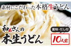 おうどんセット 10人前 《90日以内に出荷予定(土日祝除く)》和ぁさん家、株式会社栄工製作所 うどん 麺 生麺 生うどん 本格 手作り 和食 ご家庭用 こだわり お手軽 ギフト セット 薬味 だし付き 徳島県 美馬市 st-p